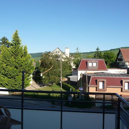 Le Parc Du Marlenberg Apartment Marlenheim Exterior foto