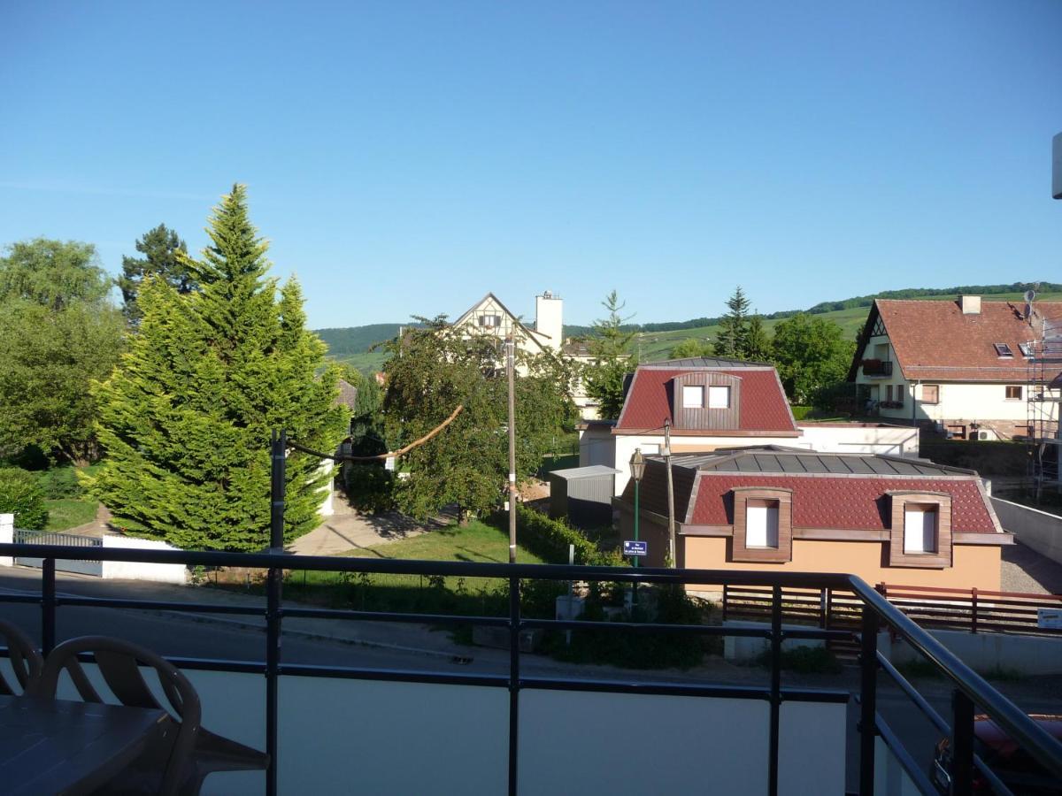 Le Parc Du Marlenberg Apartment Marlenheim Exterior foto